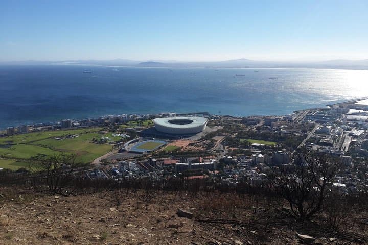Cape Town Private Tour — Table Mountain Cable Car, Company Gardens & Signal Hill photo 5