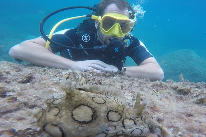 Scuba Diving in Taormina: Marine Reserve Boat & Shore Dives
