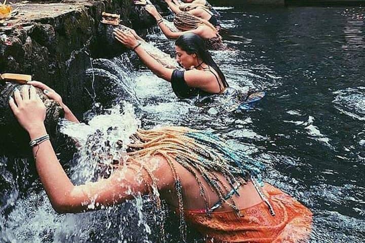 Best of Ubud Full-Day Private Tour: Monkey Forest, Rice Terraces & Temples