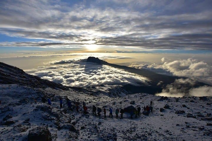 7-Day Lemosho Route Kilimanjaro Climb to Uhuru Peak