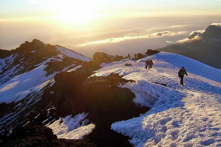 7-Day Lemosho Route Kilimanjaro Climb to Uhuru Peak photo 5