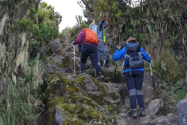 7-Day Lemosho Route Kilimanjaro Climb to Uhuru Peak photo 2