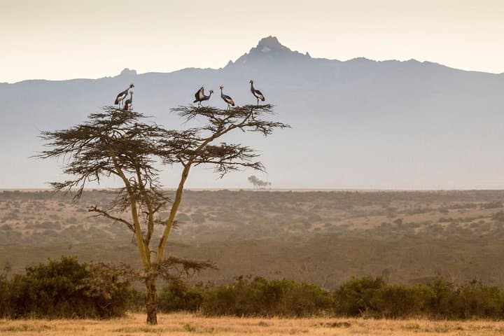 5-Day Mt Kenya Trek: Sirimon Route to Point Lenana Summit