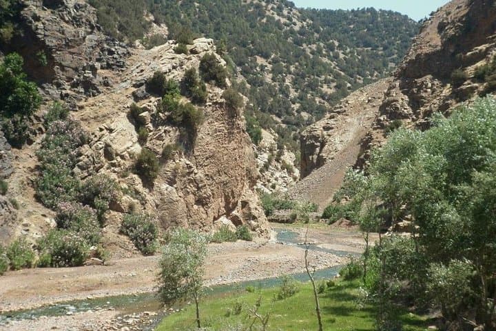 Day Trip to the Atlas Mountains: Camel Rides, Berber Villages & Waterfalls from Marrakech photo 4