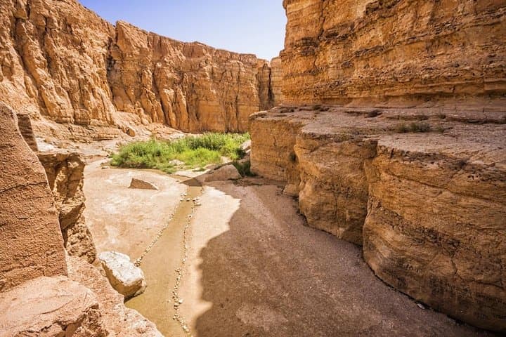 Half-Day Tozeur Canyons: Tamerza, Chebika & Mides Oasis Tour photo 4