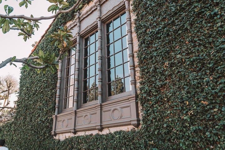 Self-Guided Westwood Walking Tour: Best Cafes, Photo Ops & LA History photo 6