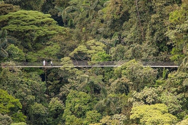 Arenal Hanging Bridges Guided Walk - La Fortuna Canopy Trails & Hot Springs photo 3