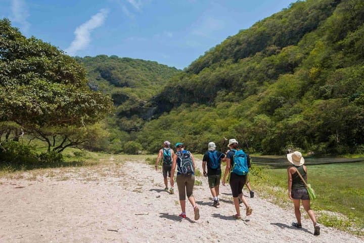 Full-Day Jarziz Valley Hike from Salalah — Ittin Mountain Waterfalls & Camel Lunch photo 1