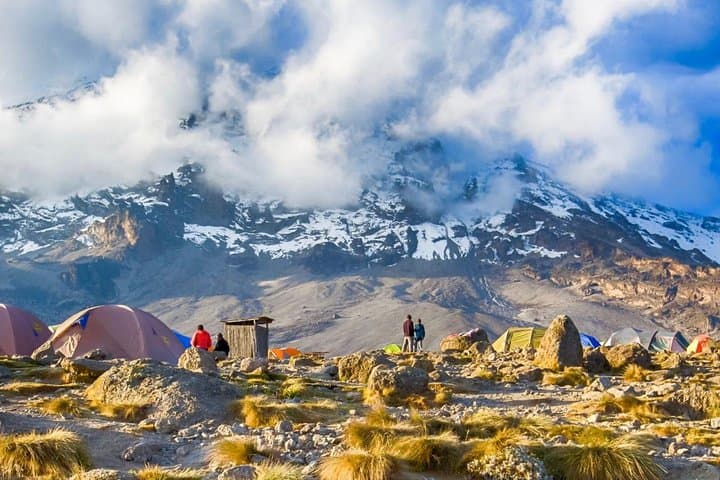 7-Day Machame Route Kilimanjaro Climb to Uhuru Peak photo 5