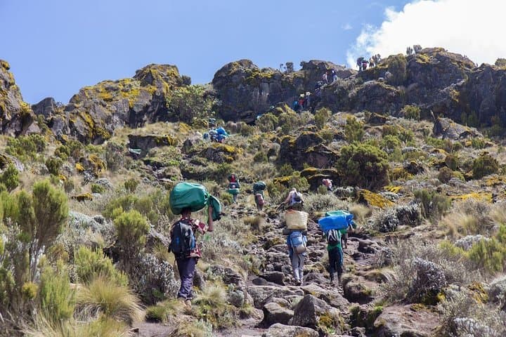 7-Day Machame Route Kilimanjaro Climb to Uhuru Peak photo 3