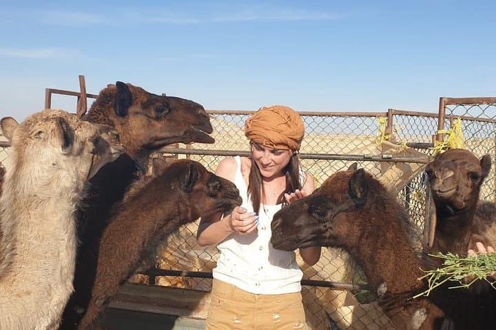 Empty Quarter Full-Day Desert & Sunset Tour from Salalah photo 2