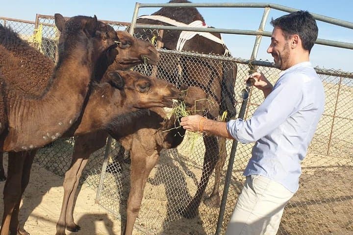 Empty Quarter Full-Day Desert & Sunset Tour from Salalah photo 3