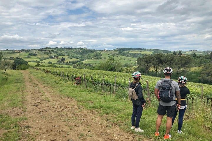 Sunset on Two Wheels: Private Tuscany Bike Tour Through Vineyards and Olive Groves photo 3