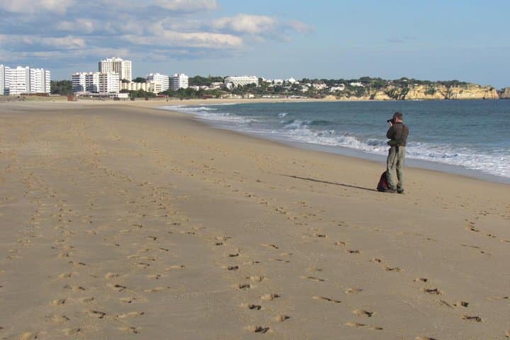 Alvor Dunes Half-Day Birdwatching — Boardwalk Birding in the Algarve photo 6