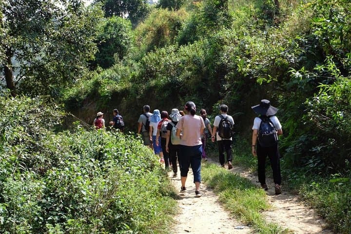 Changu to Nagarkot Hike: Sunrise Views, Ancient Temples & Overnight Stay