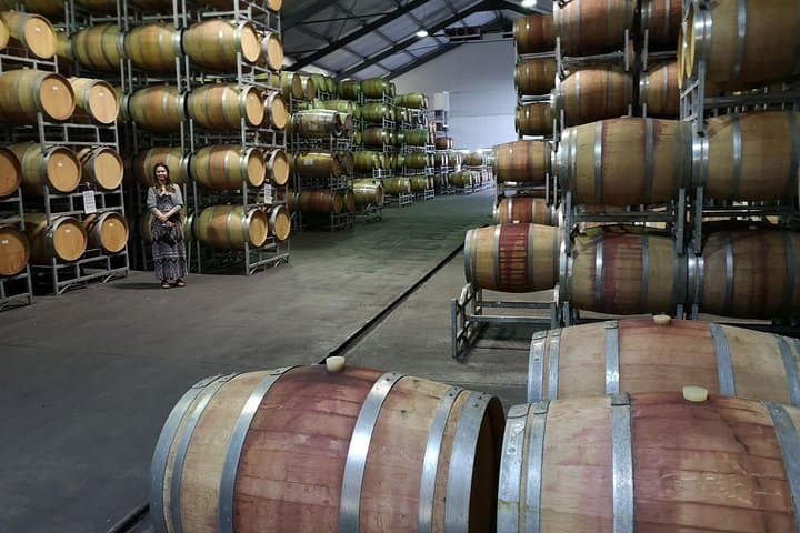 Private Half-Day Cape Winelands Tour: Stellenbosch from Cape Town photo 4