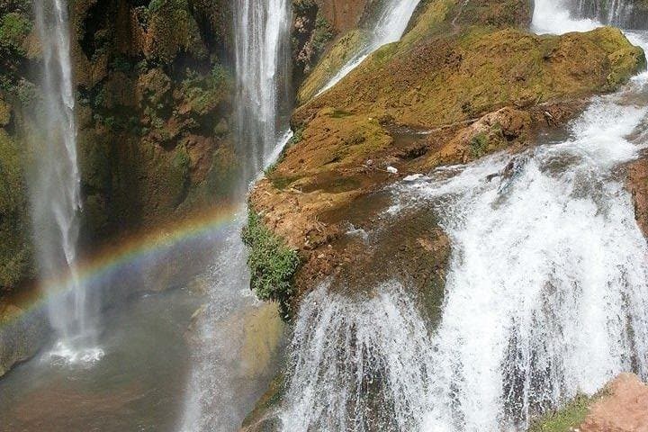 Full-Day Ouzoud Falls Tour from Marrakech: Waterfalls, Barbary Apes & Olive Valleys