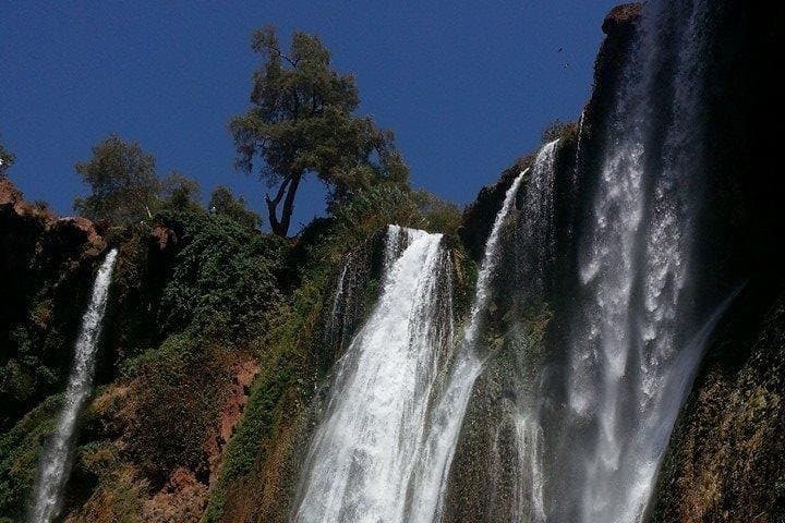 Full-Day Ouzoud Falls Tour from Marrakech: Waterfalls, Barbary Apes & Olive Valleys photo 4