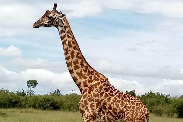5-Day Naivasha & Amboseli Safari: Crescent Island, Hell's Gate and Crater Lake Exploration photo 2