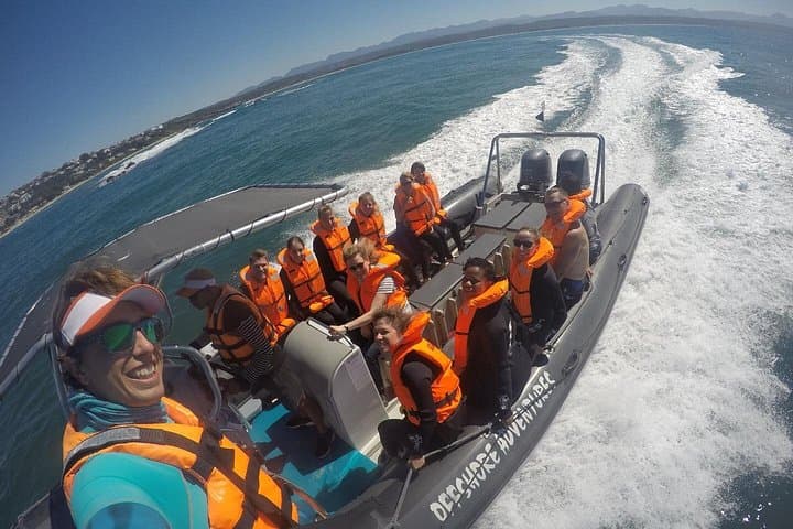 Seal Viewing Boat Tour Plettenberg Bay - Robberg Seal Colony Cruise photo 3