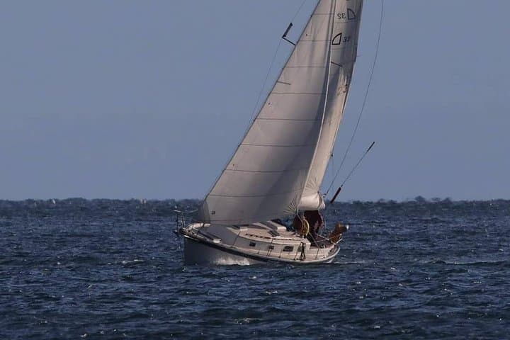 4-Hour Sailing Adventure on the Strait of Juan de Fuca — Victoria Wildlife Cruise photo 3
