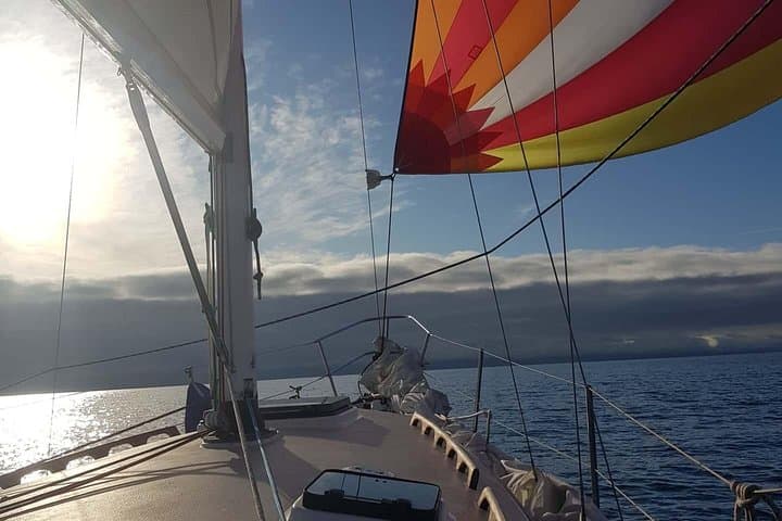 4-Hour Sailing Adventure on the Strait of Juan de Fuca — Victoria Wildlife Cruise photo 5