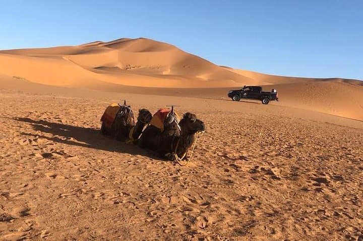 Marrakech to Fes in 3 Days: Atlas Highways, Kasbahs & Erg Chebbi Sunrise photo 1