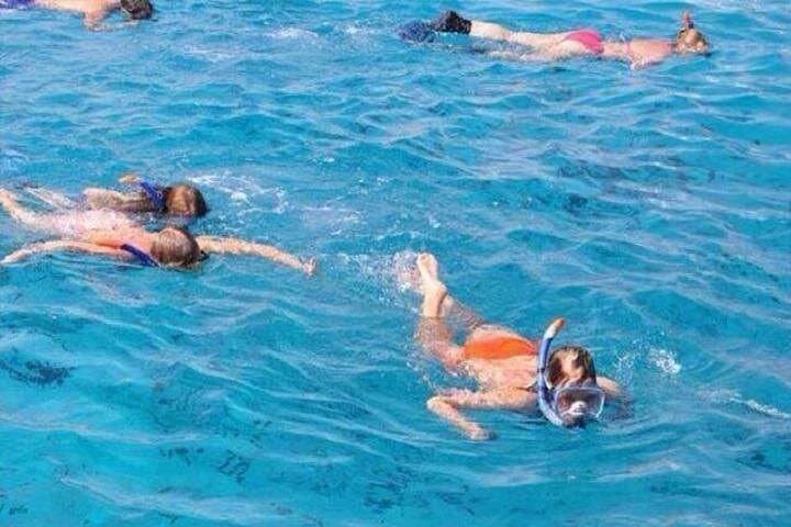 Giftun Island Snorkeling from Hurghada: Day Trip with Lunch & Dolphin Encounters photo 2