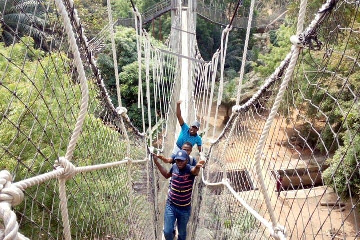 Explore Lekki Conservation Centre: Half-Day Private Guided Nature Tour in Lagos photo 2