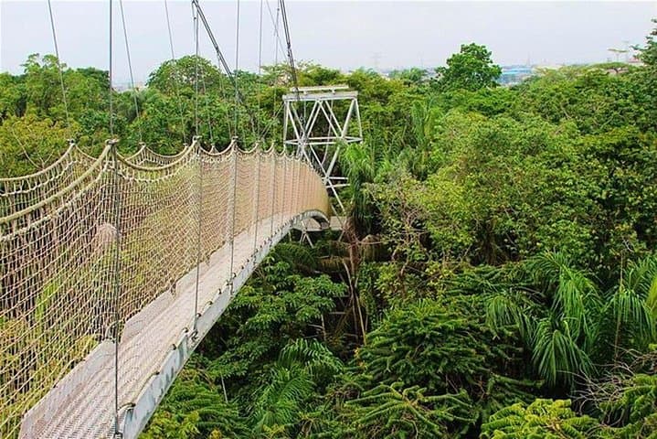 Explore Lekki Conservation Centre: Half-Day Private Guided Nature Tour in Lagos