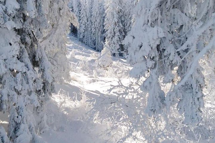 Private 2-Day Snowshoeing in Vitosha: Guided Winter Trek from Sofia