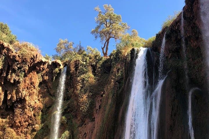 Day Trip to Ouzoud Falls from Marrakech — Waterfalls, Monkeys & Atlas Views photo 2