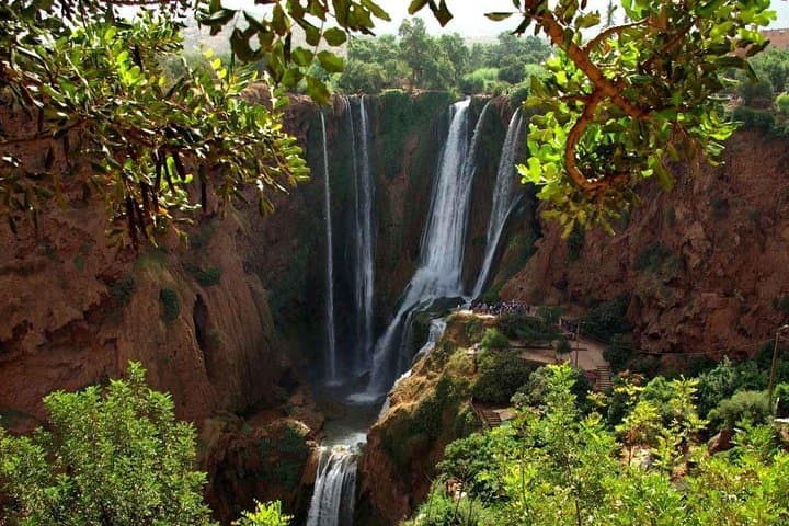Day Trip to Ouzoud Falls from Marrakech — Waterfalls, Monkeys & Atlas Views photo 3