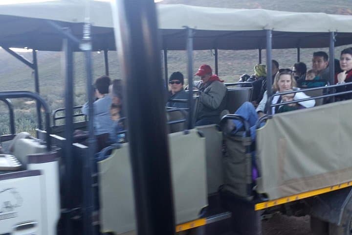 Aquila Wildlife Safari Tour from Cape Town — Big Five Day Trip photo 2