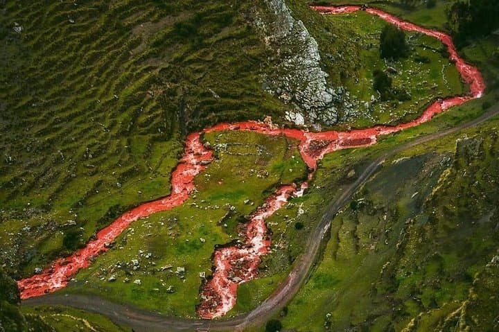 Palcoyo Rainbow Mountain Day Trip from Cusco: High-Altitude Colors & Ausangate Views photo 3