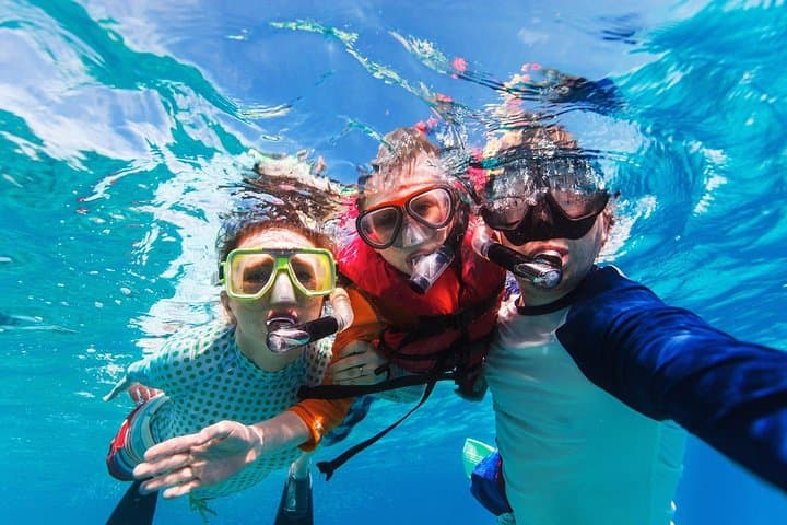 Snorkel Cozumel's El Cielo: Day Trip to Palancar, Colombia & Beach Lunch photo 3