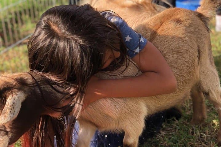 Wildflower Horseback Ride in Agoura Hills — 2-Hour Trail Experience photo 5
