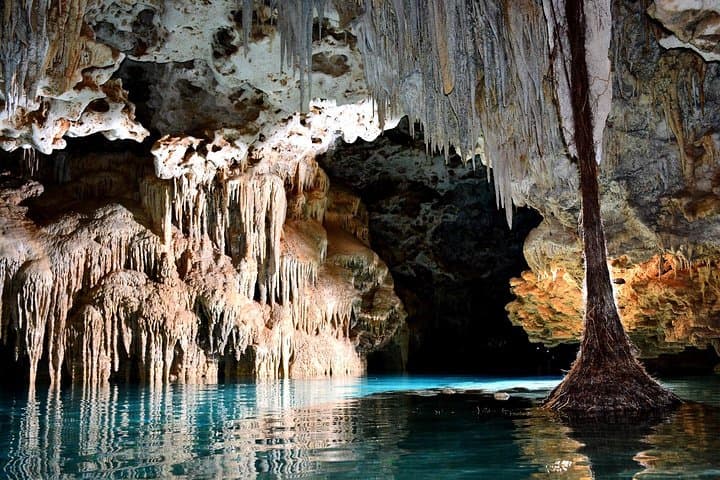 Rio Secreto Skip-the-Line Cave Tour — Playa del Carmen Underground River photo 4