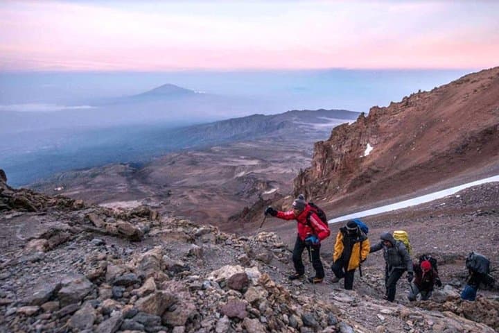 8-Day Lemosho Route: Summit Mount Kilimanjaro from Londorossi to Uhuru Peak photo 3