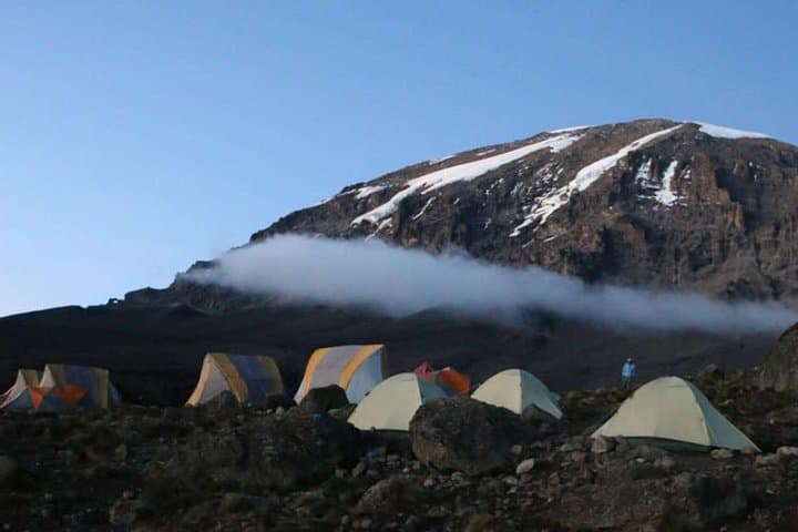 8-Day Lemosho Route: Summit Mount Kilimanjaro from Londorossi to Uhuru Peak photo 4