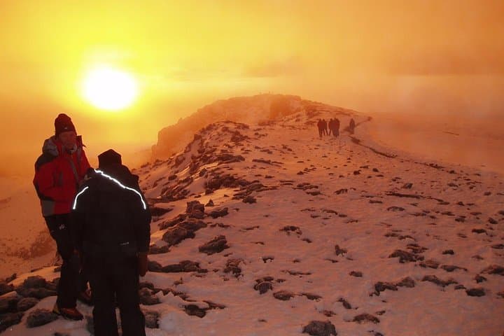 8-Day Lemosho Route: Summit Mount Kilimanjaro from Londorossi to Uhuru Peak photo 1