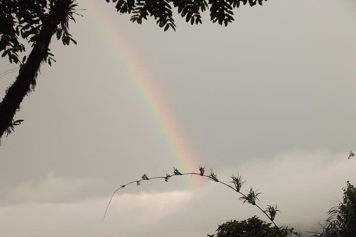 Mindo Cloud Forest Private Day Trip — Hummingbirds, Butterflies & Chocolate from Quito photo 4