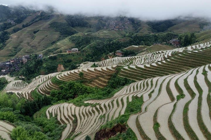 Chengdu to Guilin in 6 Days: Pandas, Terraces & Li River Rafting photo 2