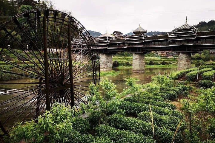 Chengdu to Guilin in 6 Days: Pandas, Terraces & Li River Rafting photo 4