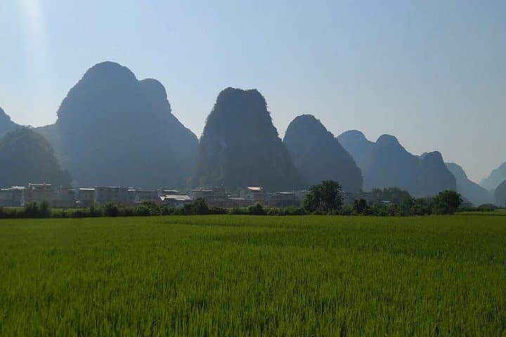 Guilin to Chengdu 5-Day Private Tour: Li River, Longji Terraces & Chengdu Pandas photo 5