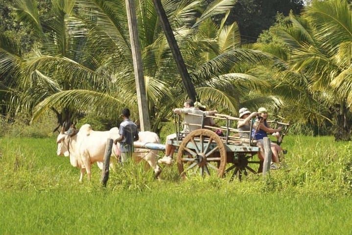 Sigiriya Village Tour: Bullock Cart Rides, Catamaran Trip & Authentic Sri Lankan Lunch photo 2