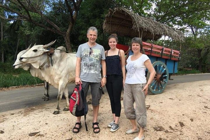 Sigiriya Village Tour: Bullock Cart Rides, Catamaran Trip & Authentic Sri Lankan Lunch photo 4