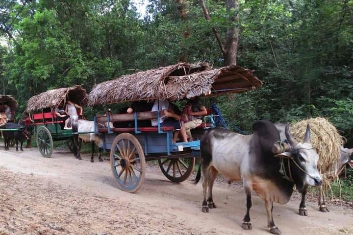 Sigiriya Village Tour: Bullock Cart Rides, Catamaran Trip & Authentic Sri Lankan Lunch photo 5