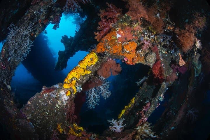 Tulamben Open Water + Advanced Scuba Certification — 4-Day Course at the USAT Liberty photo 5