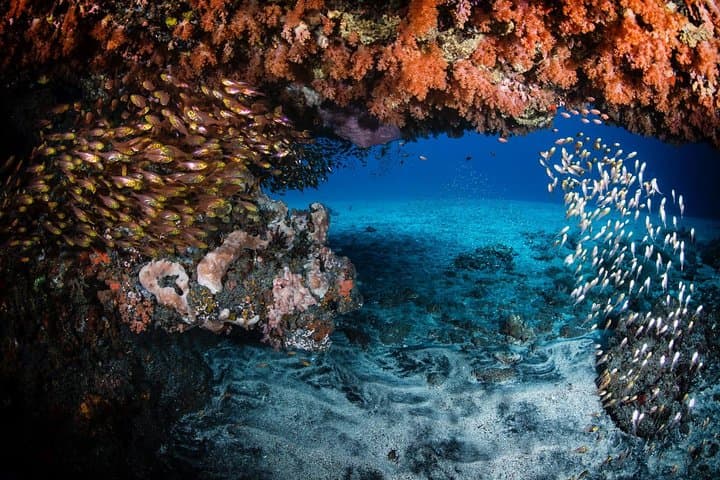 Tulamben Open Water + Advanced Scuba Certification — 4-Day Course at the USAT Liberty photo 6